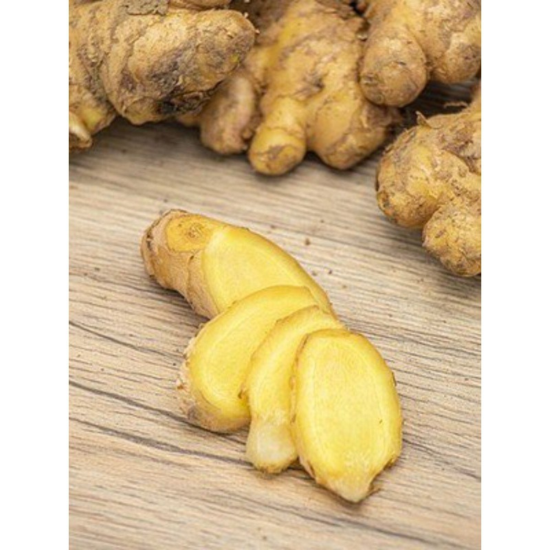 t01b85b8ad2a30ee23d t01b85b8ad2a30ee23d